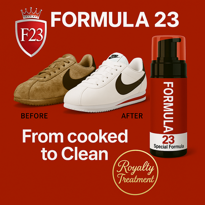 Formula 23